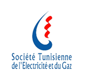 STEG Logo